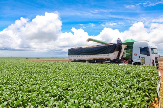 Agricultura e agronegócio brasileiro